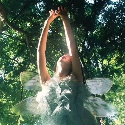 德云社精选合集2020