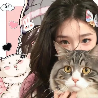 巅峰拍档第二十二季